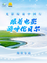 久久久久久免费视频